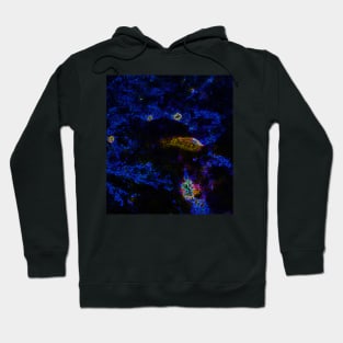 Black Panther Art - Glowing Edges 369 Hoodie